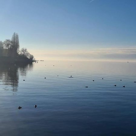 Le Duc Apartment Thonon-les-Bains Luaran gambar