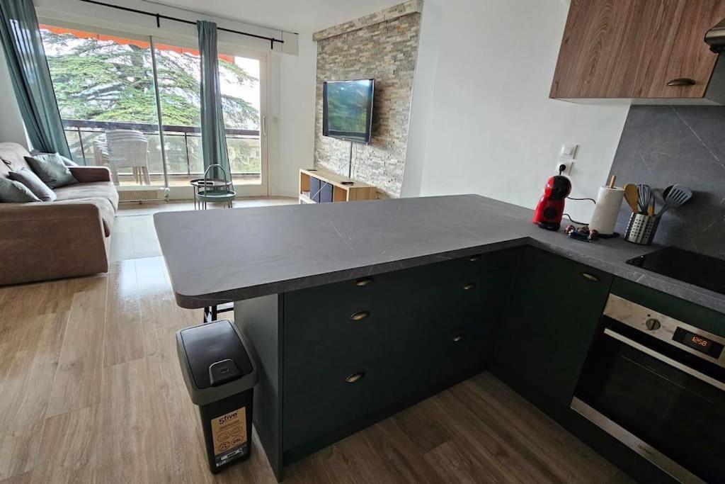 Le Duc Apartment Thonon-les-Bains Luaran gambar